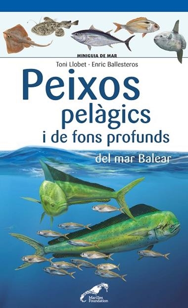 PEIXOS PELAGICS I DE FONS PROFUNDS DEL MAR BALEAR